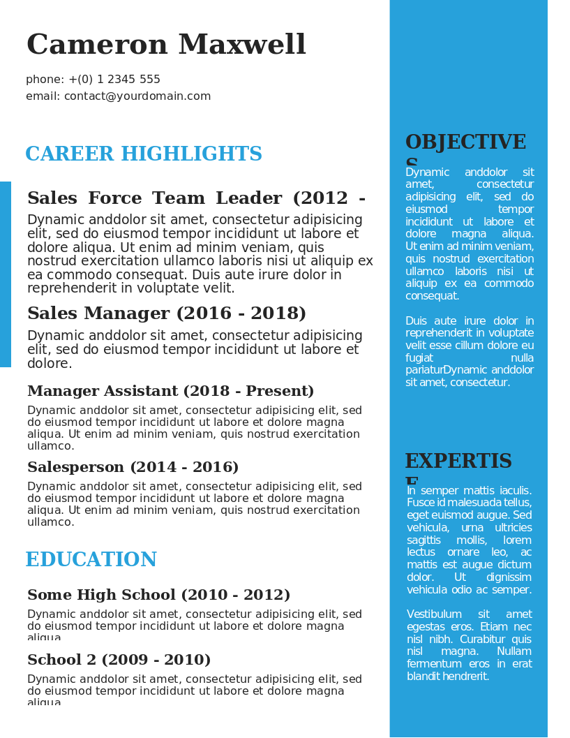 The Strategist CV preview